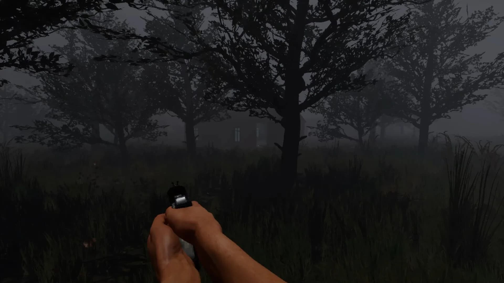 Last Antagonist görsel 2