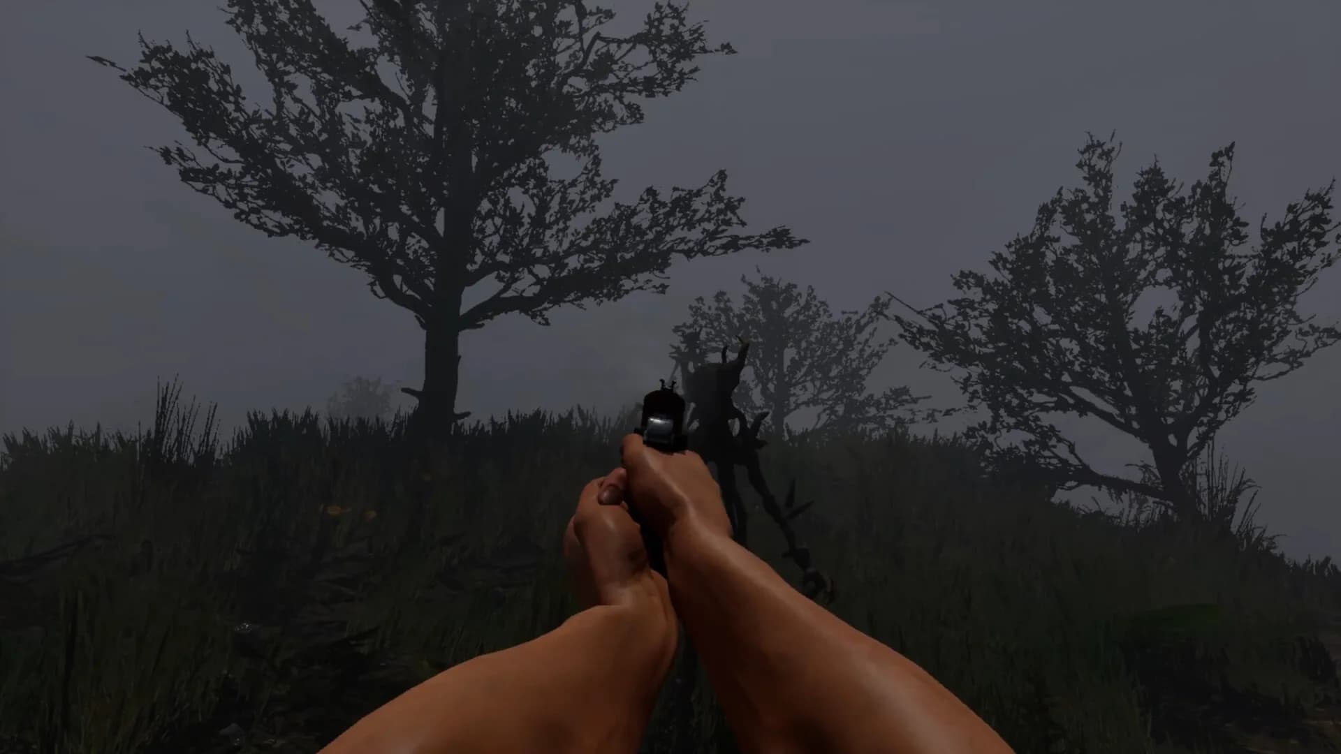 Last Antagonist görsel 6