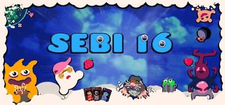 SEBI 16 görsel 1