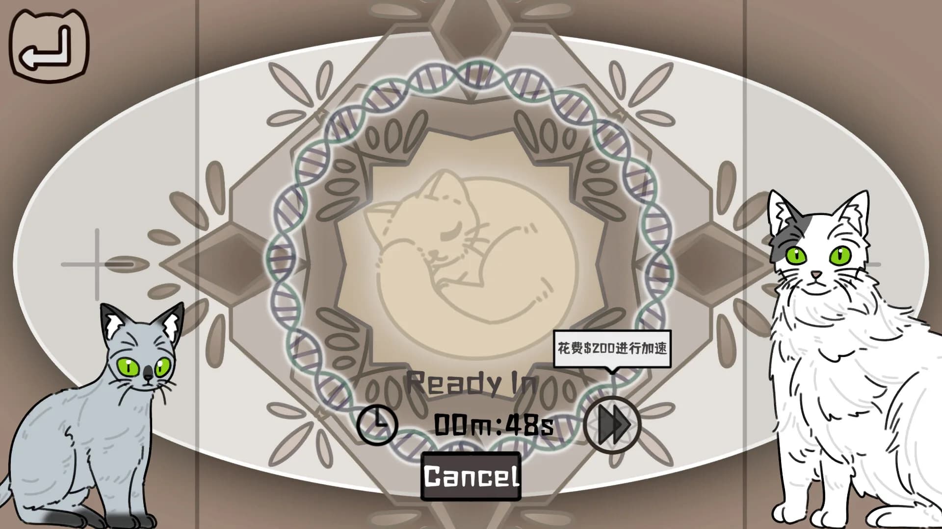猫咪使魔培养中心-Cat Familiar Center görsel 5
