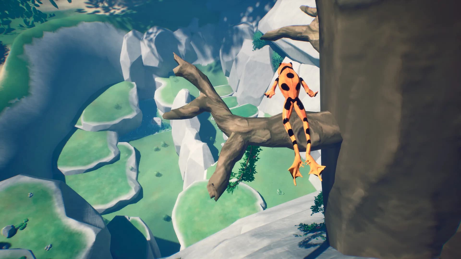 Jump Frog görsel 2