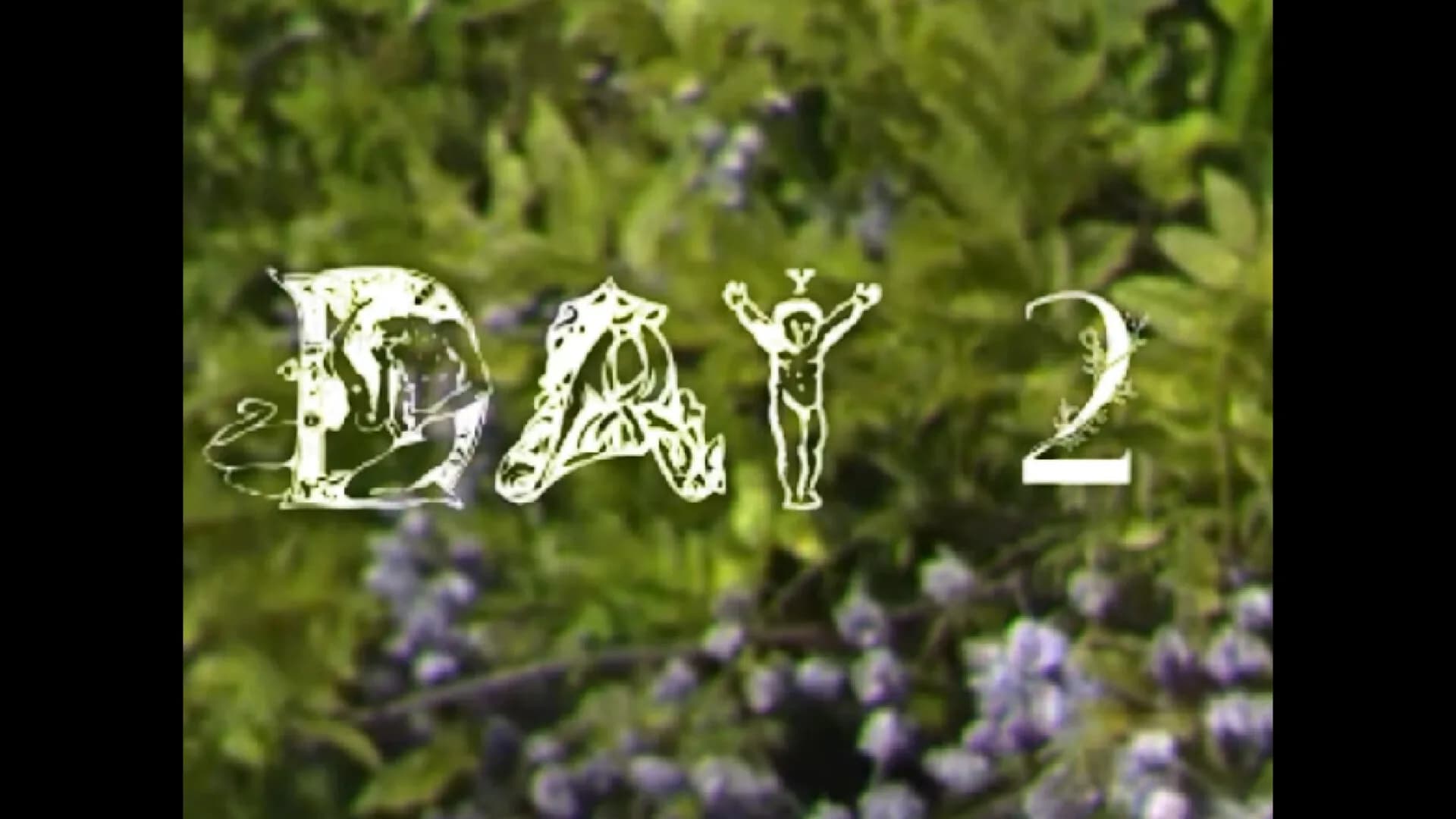 BIRDHOUSE görsel 6
