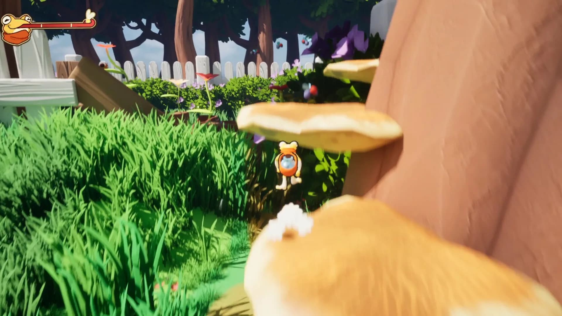 FROB görsel 9