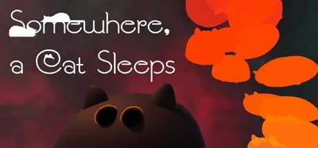 Somewhere, A Cat Sleeps