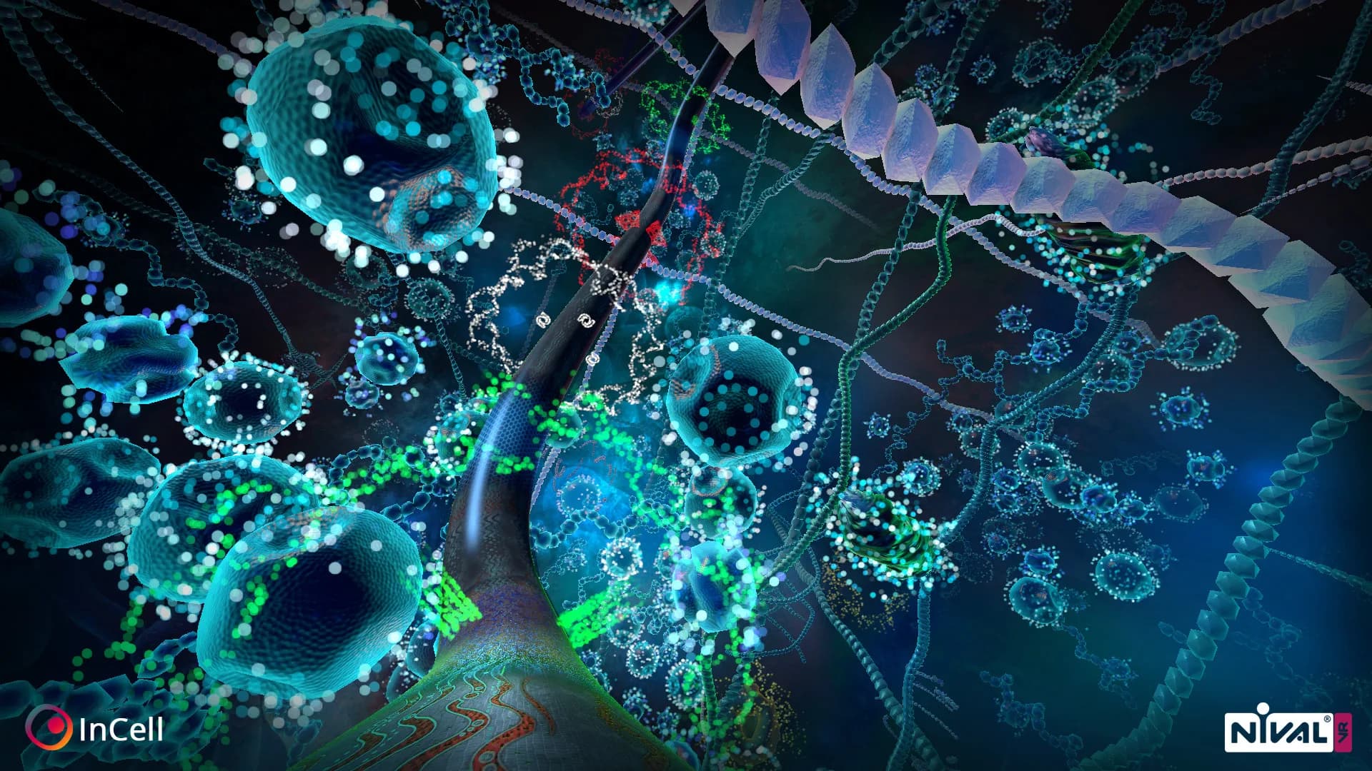InCell VR görsel 3
