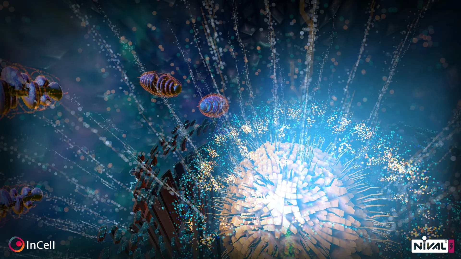 InCell VR görsel 6