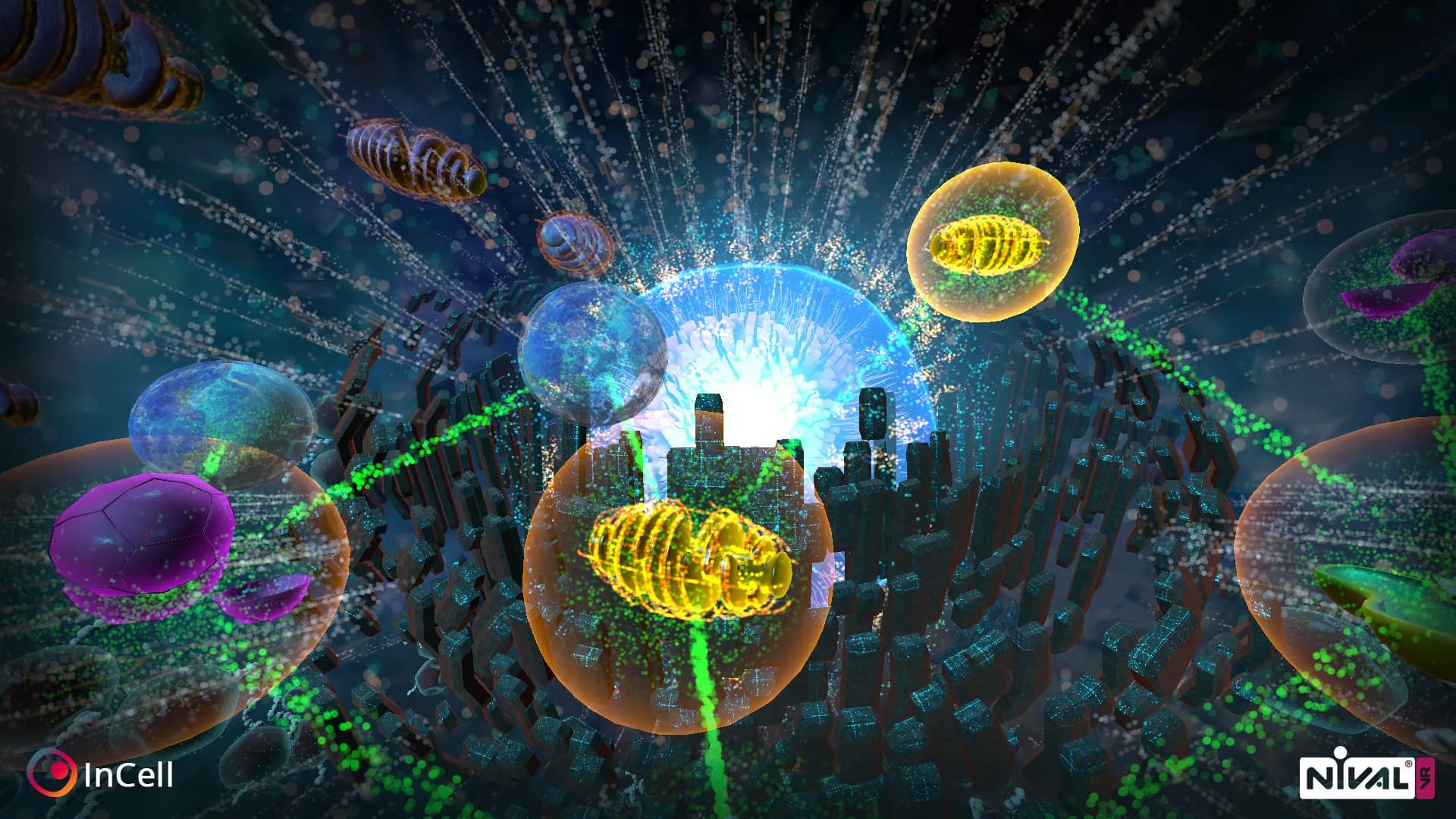 InCell VR görsel 7
