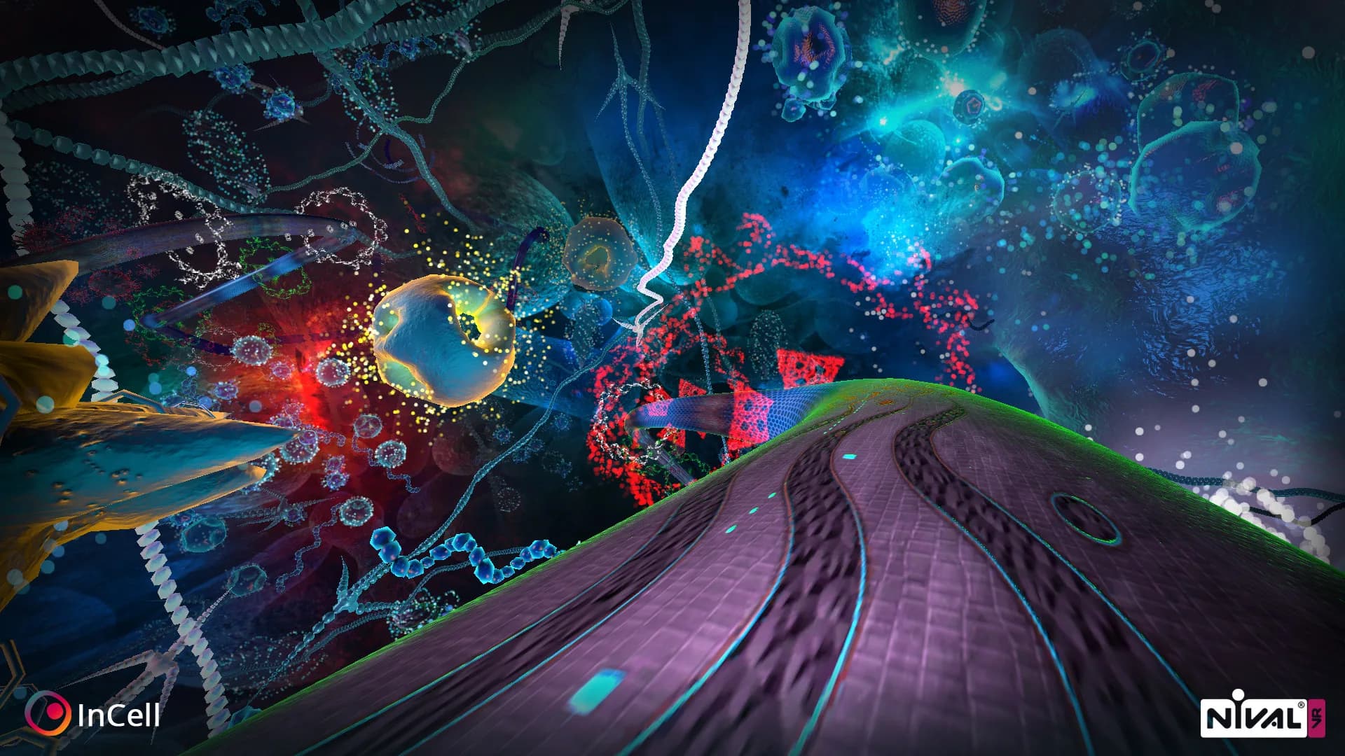 InCell VR görsel 8