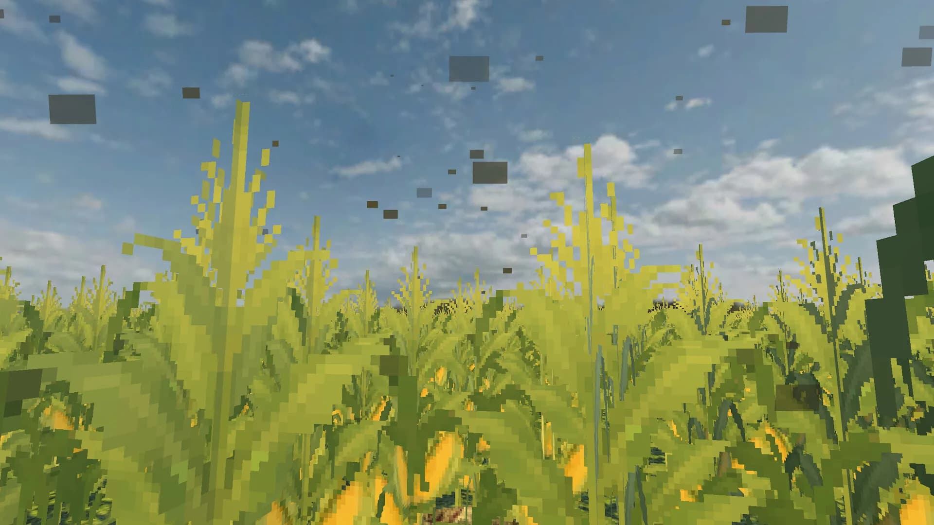 The Field Between görsel 5