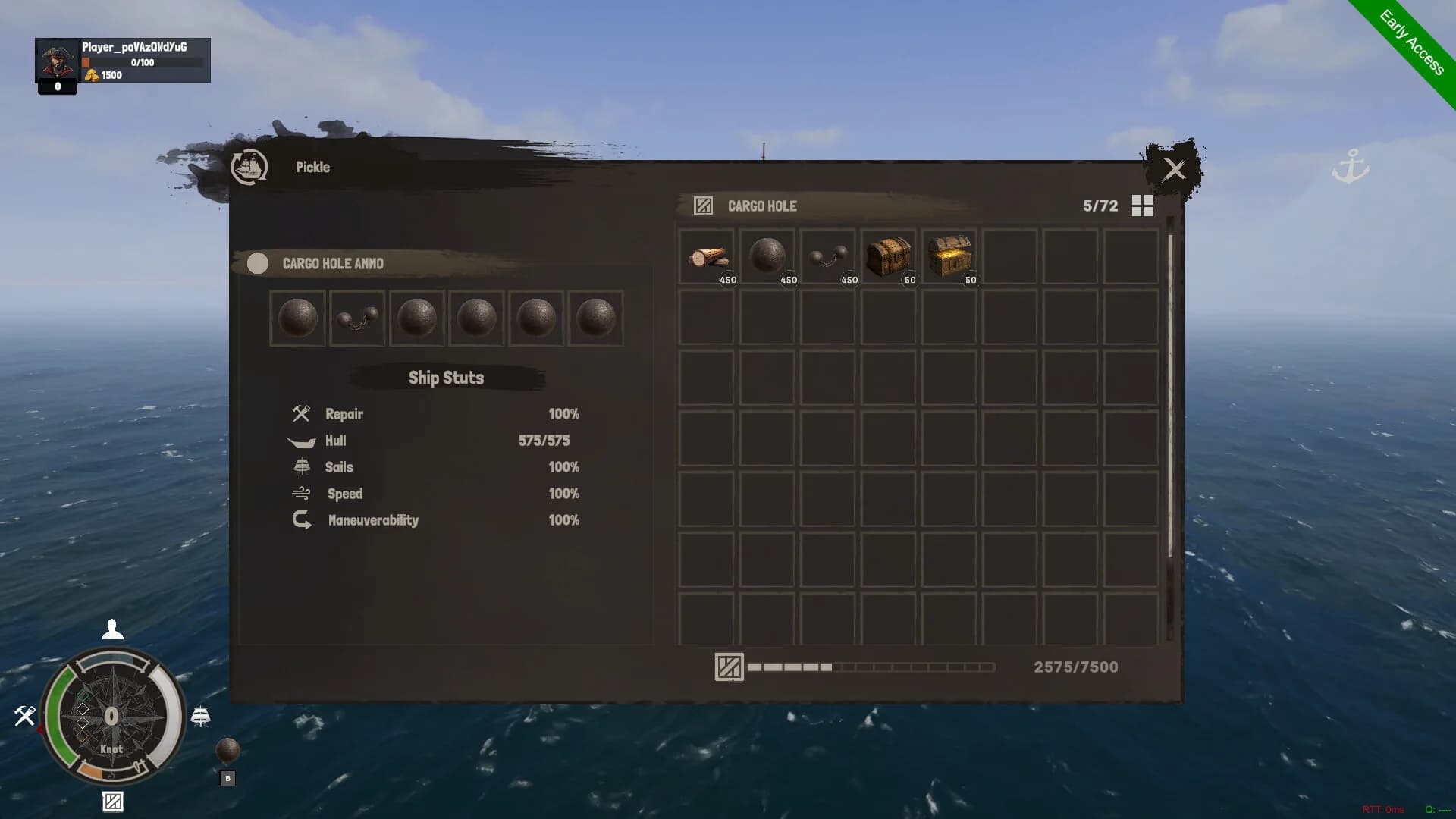 Pirate life görsel 4