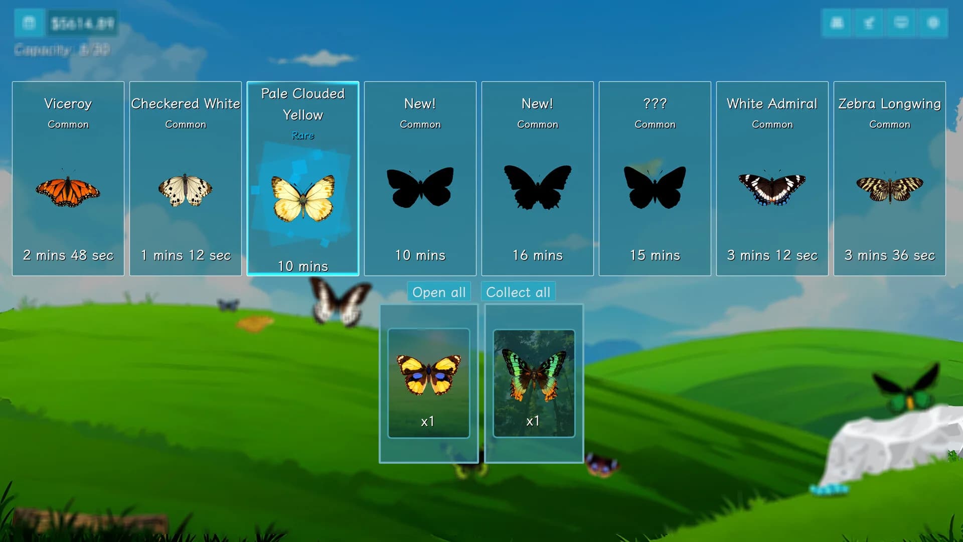Flutterfield görsel 2