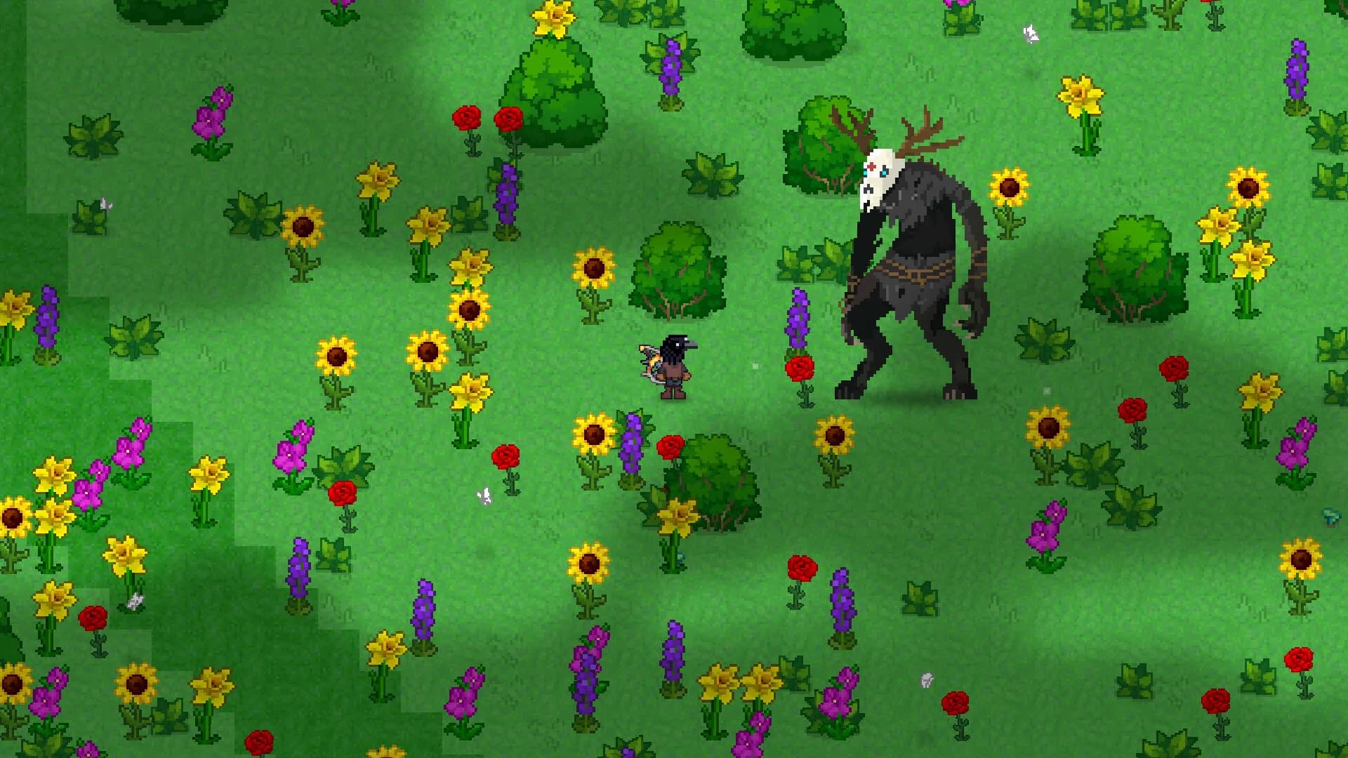 Pixplorer görsel 7