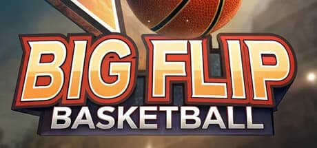 Big Flip Basketball