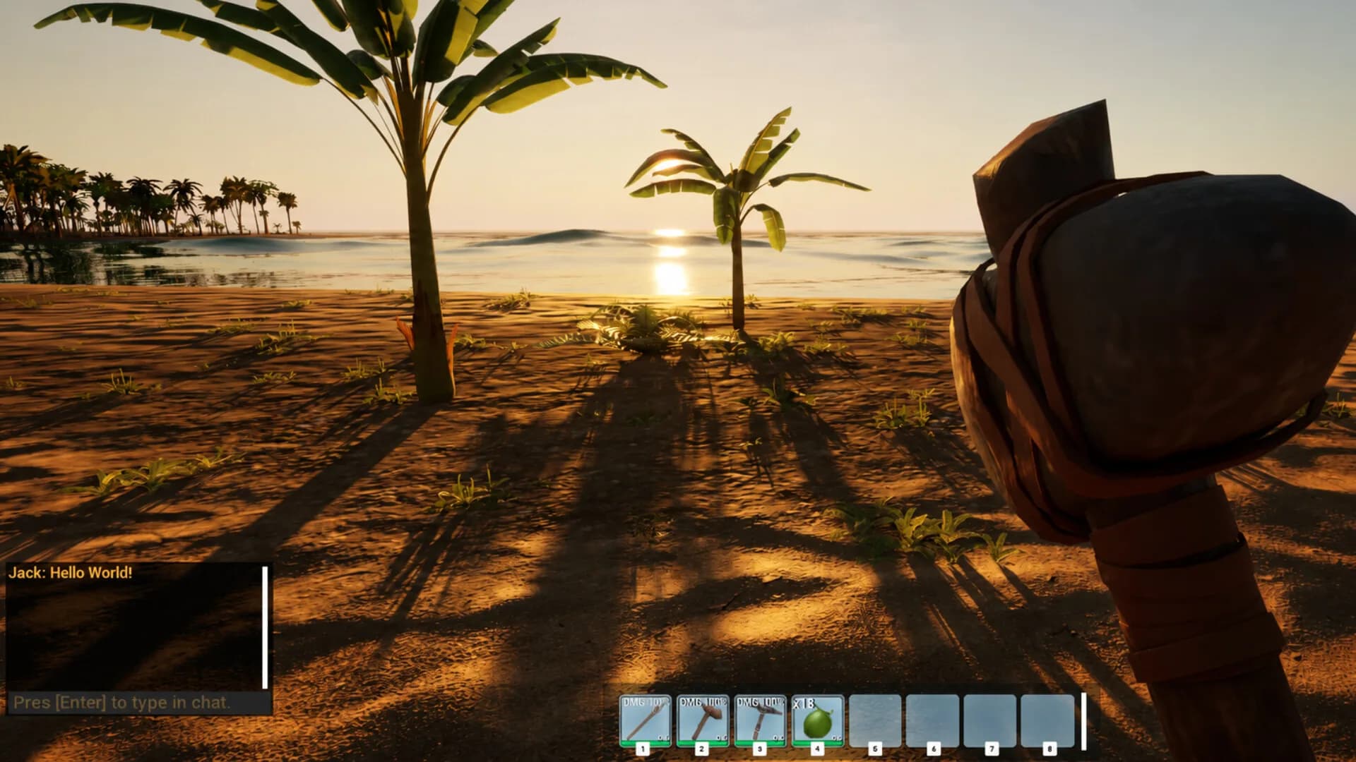 Surviving The Island görsel 2
