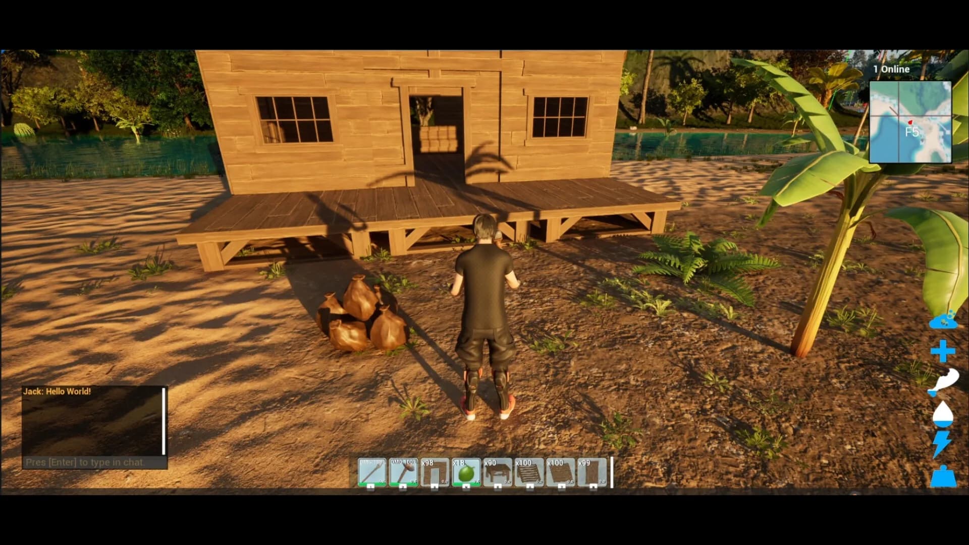 Surviving The Island görsel 11