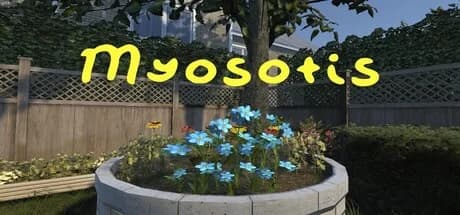 Myosotis görsel 1