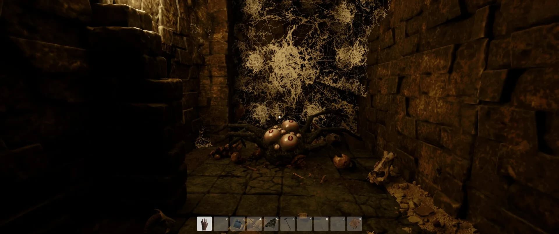 Antscape Room görsel 8
