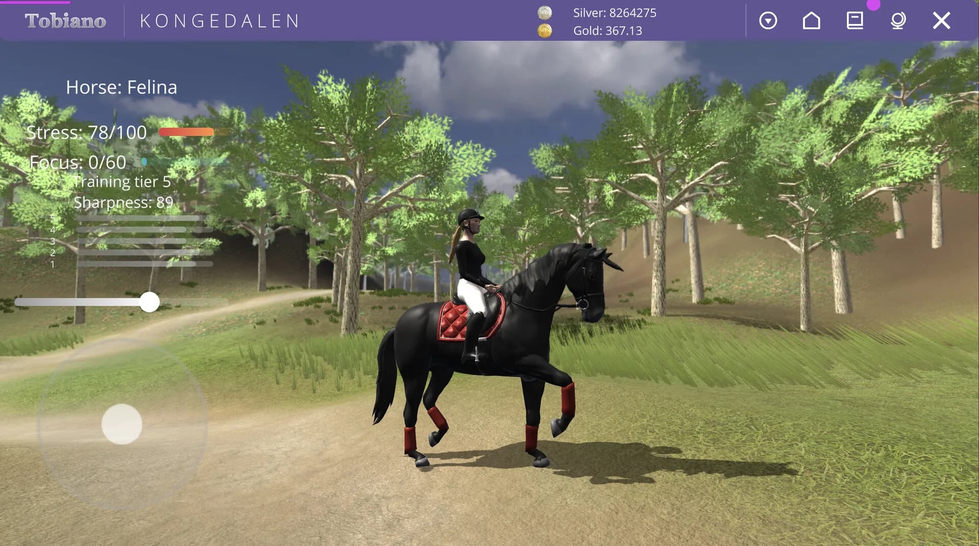 Tobiano görsel 4