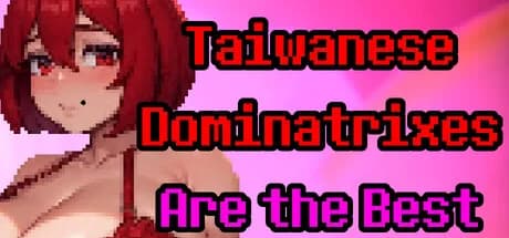 Taiwanese Dominatrixes Are the Best görsel 1