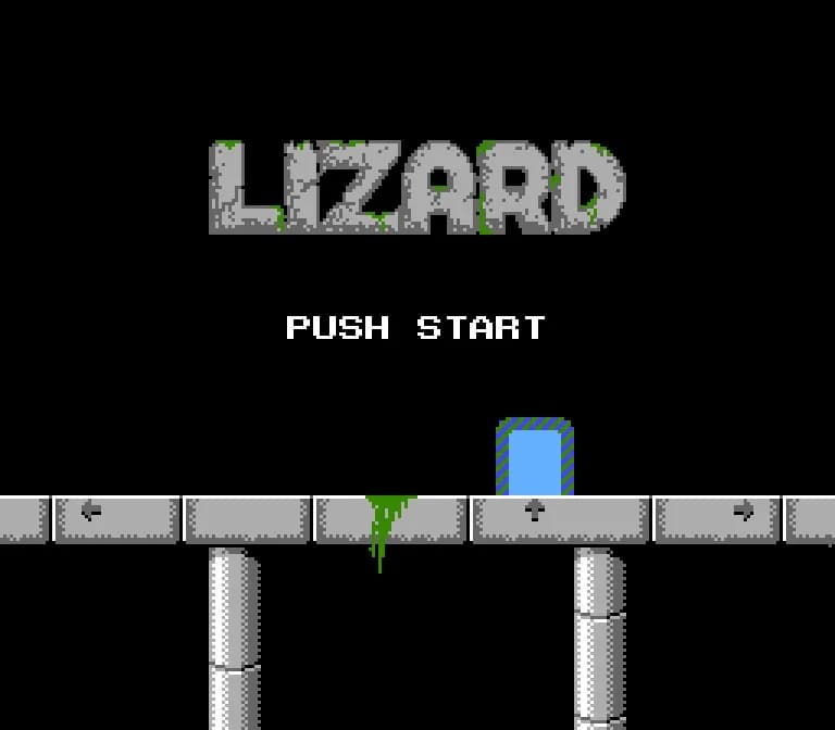 Lizard görsel 2