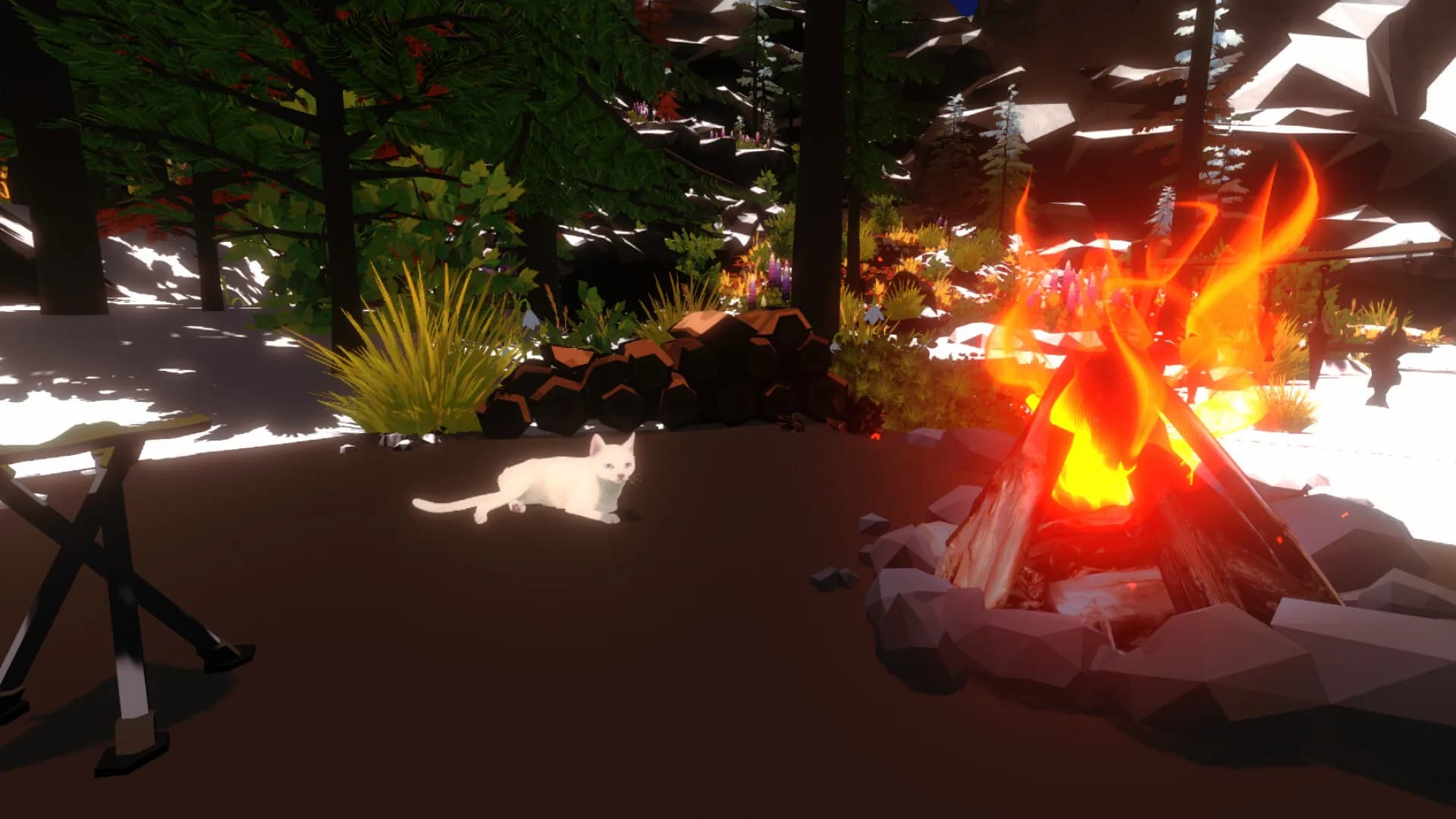 Campfire with Cat görsel 2