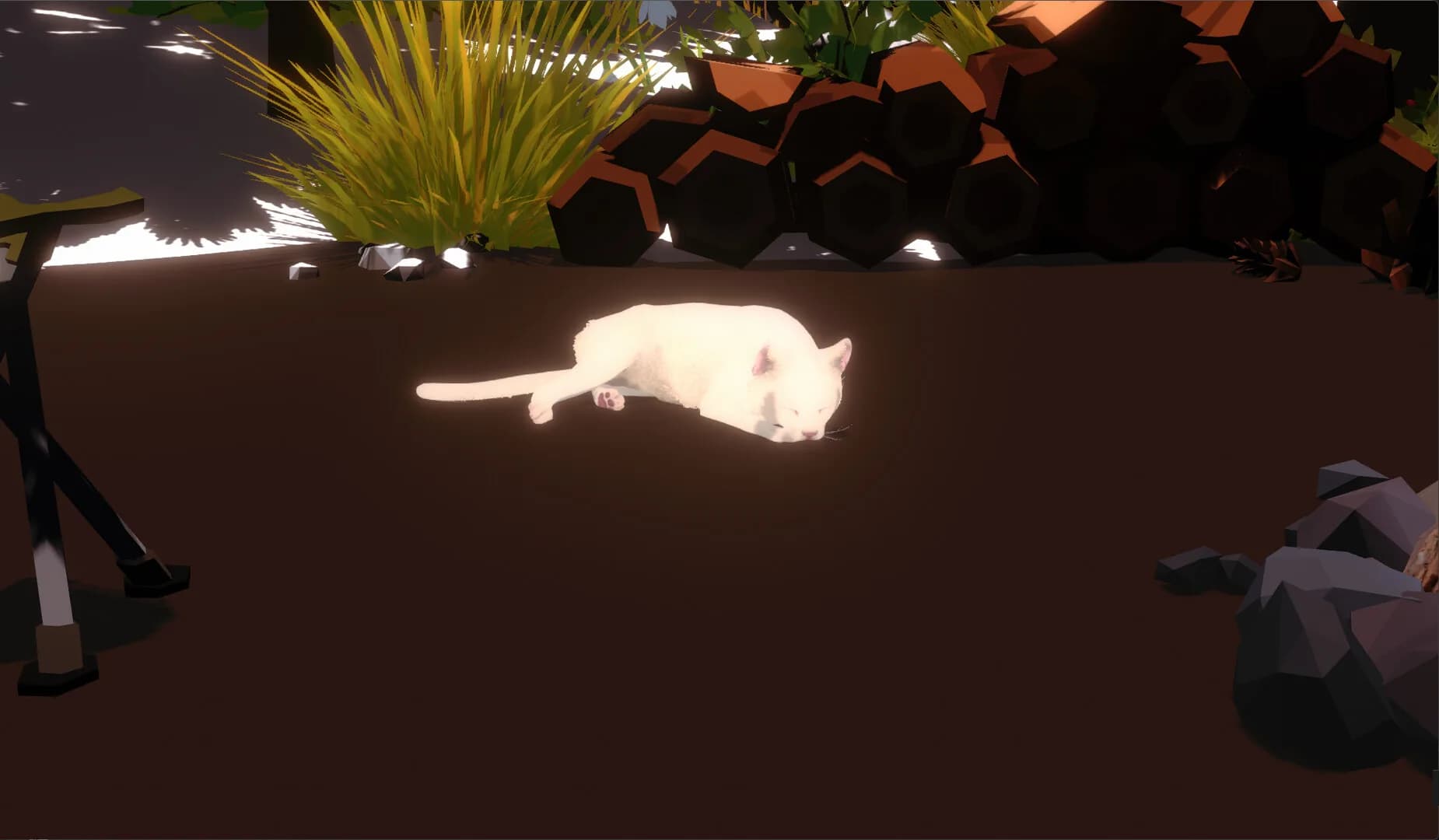 Campfire with Cat görsel 4