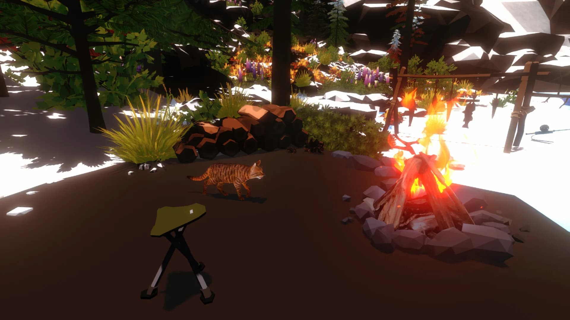 Campfire with Cat görsel 5