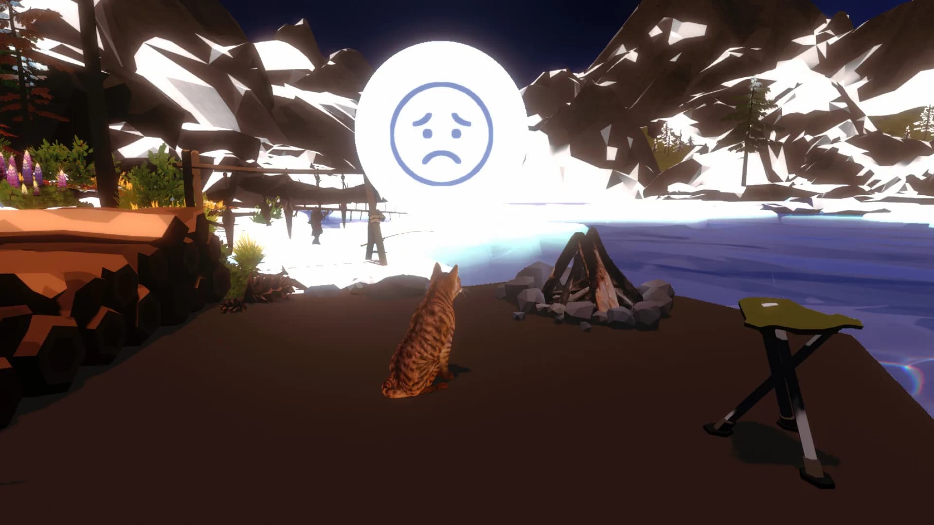Campfire with Cat görsel 6