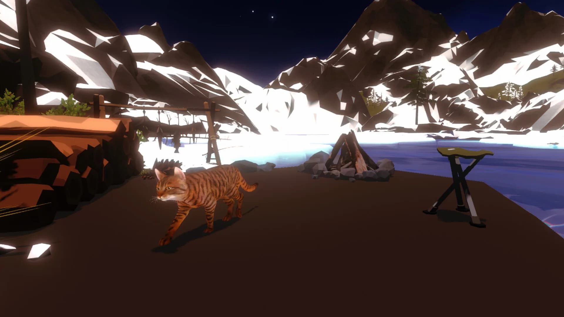Campfire with Cat görsel 7