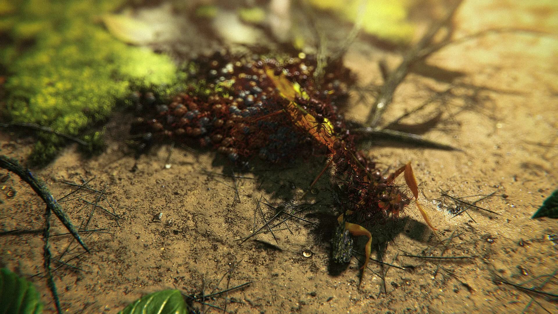 Ants Megapolis görsel 3