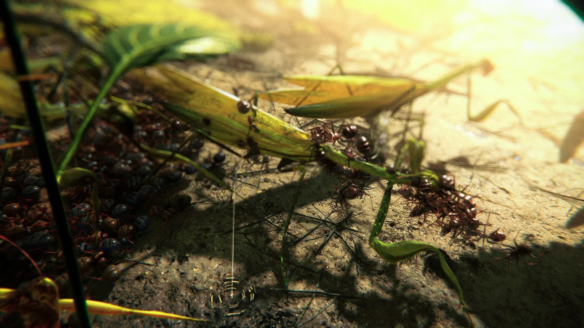Ants Megapolis görsel 8