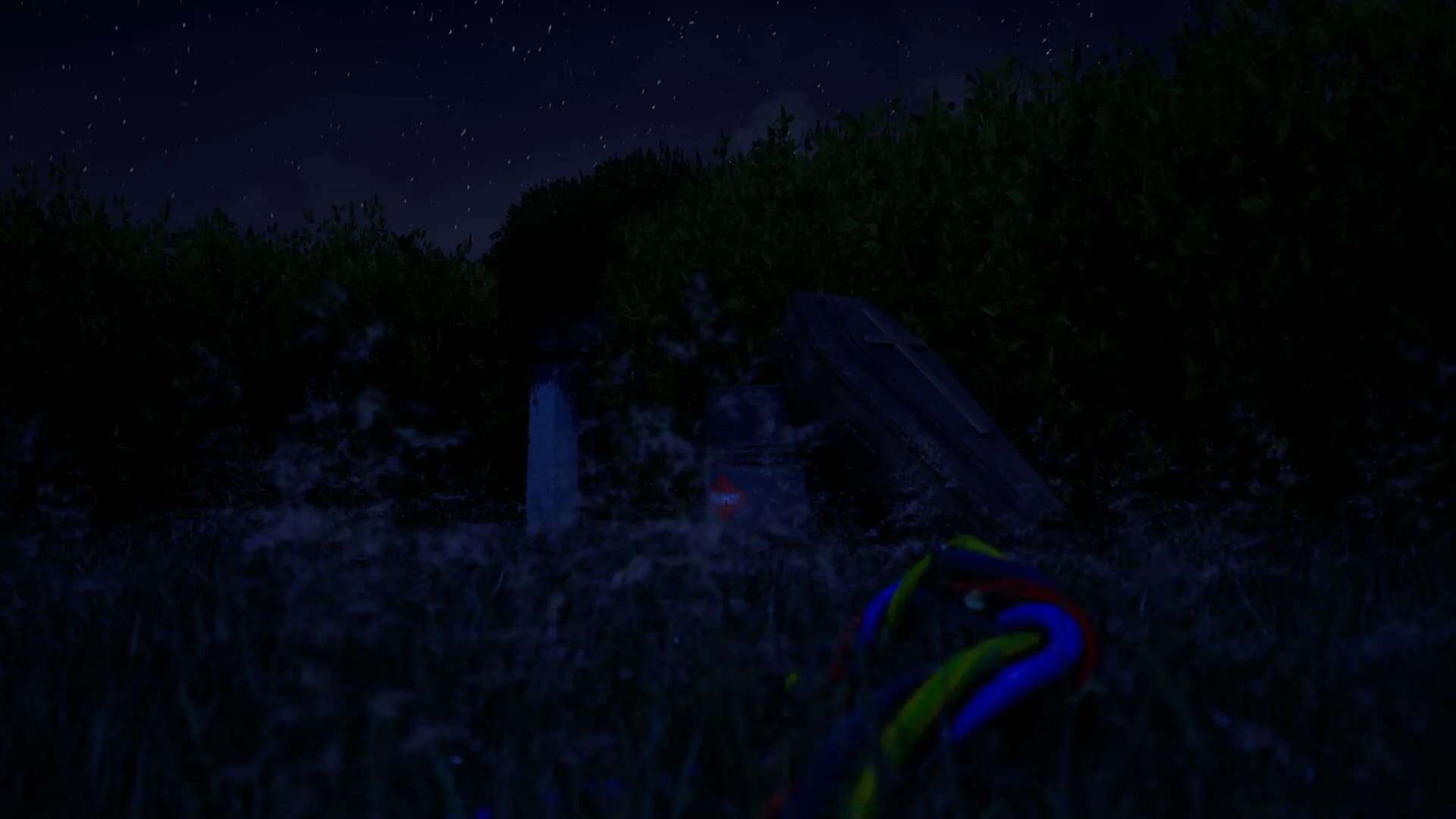 Noctis görsel 4