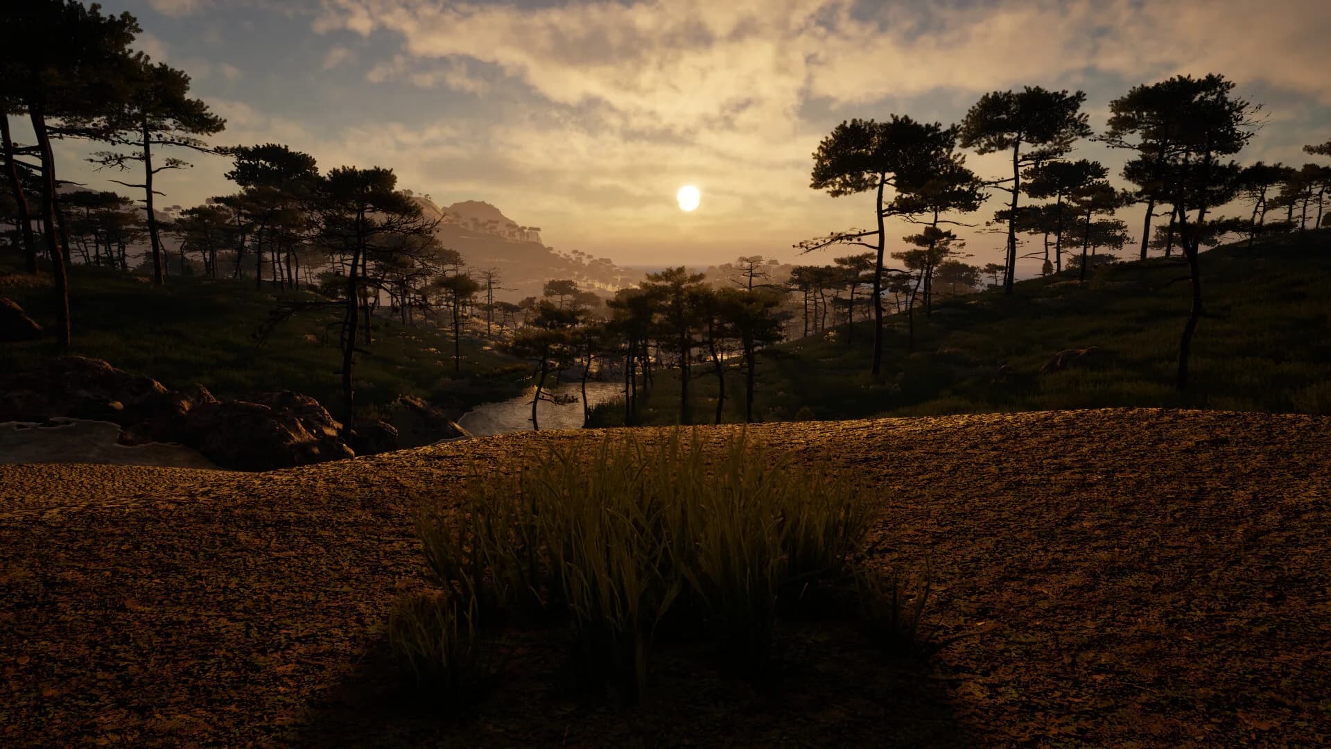 Grass Life Sim 2 görsel 2