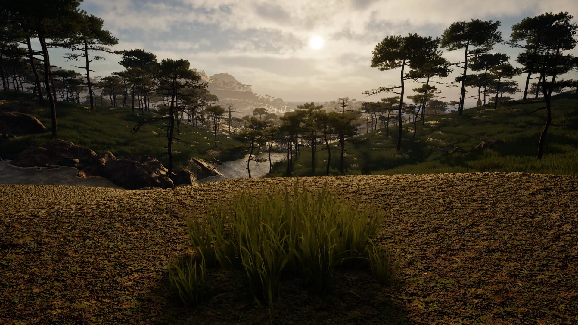 Grass Life Sim 2 görsel 6