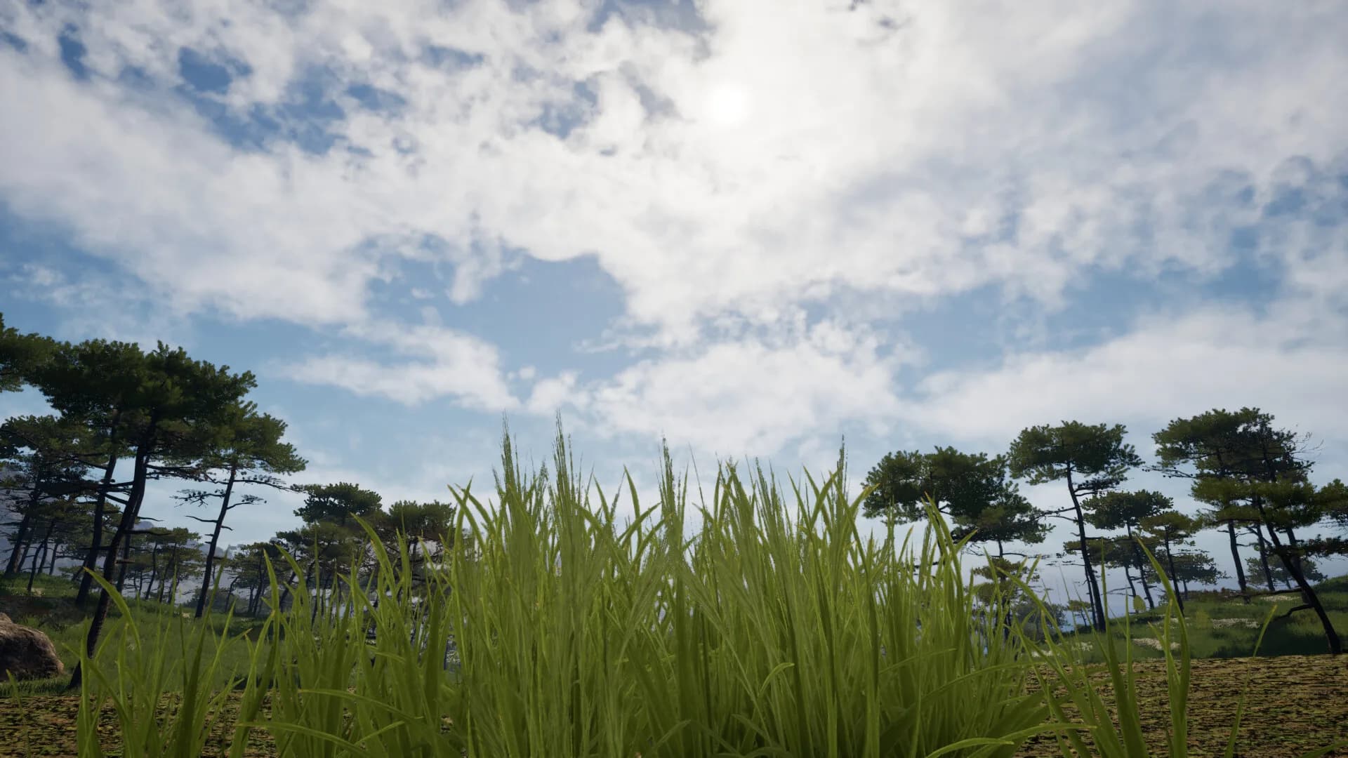 Grass Life Sim 2 görsel 7