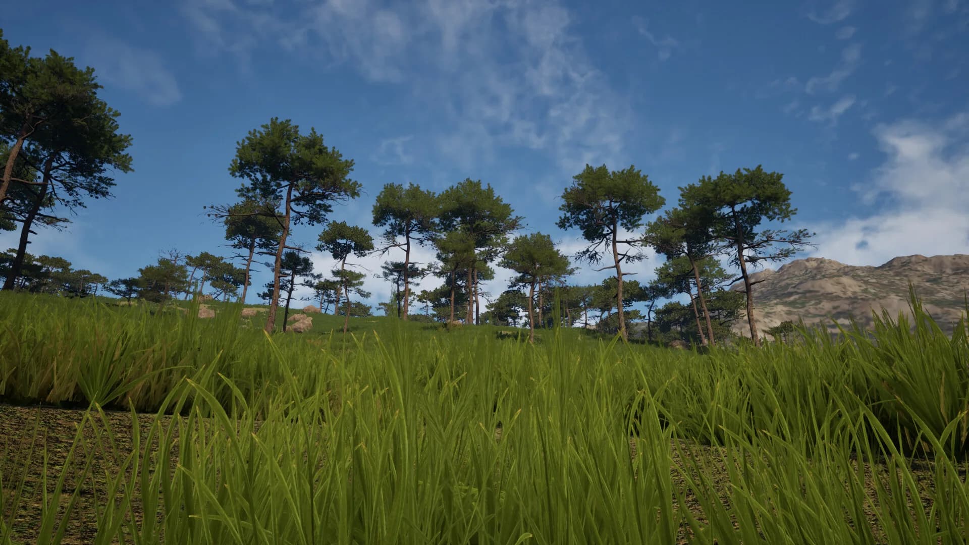 Grass Life Sim 2 görsel 8