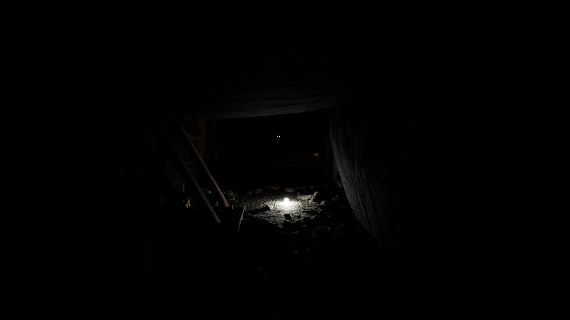 Lightless görsel 3
