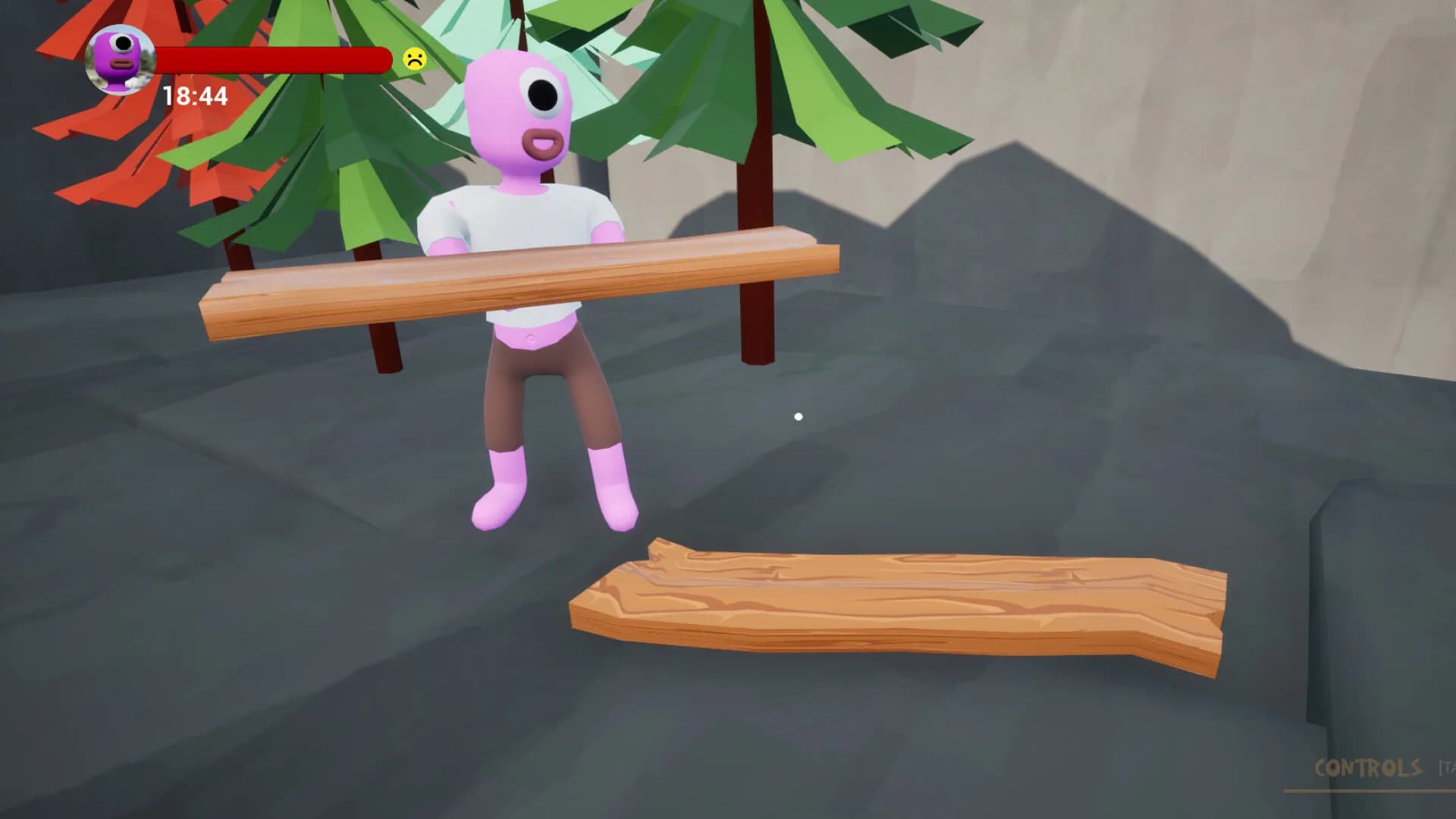 Plank görsel 5