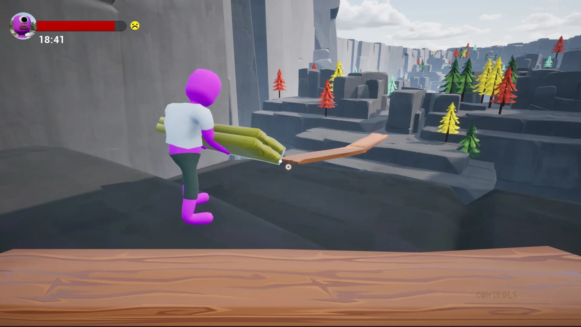 Plank görsel 7