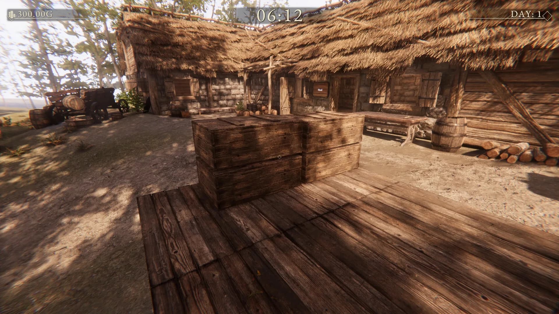Village Merchant görsel 2