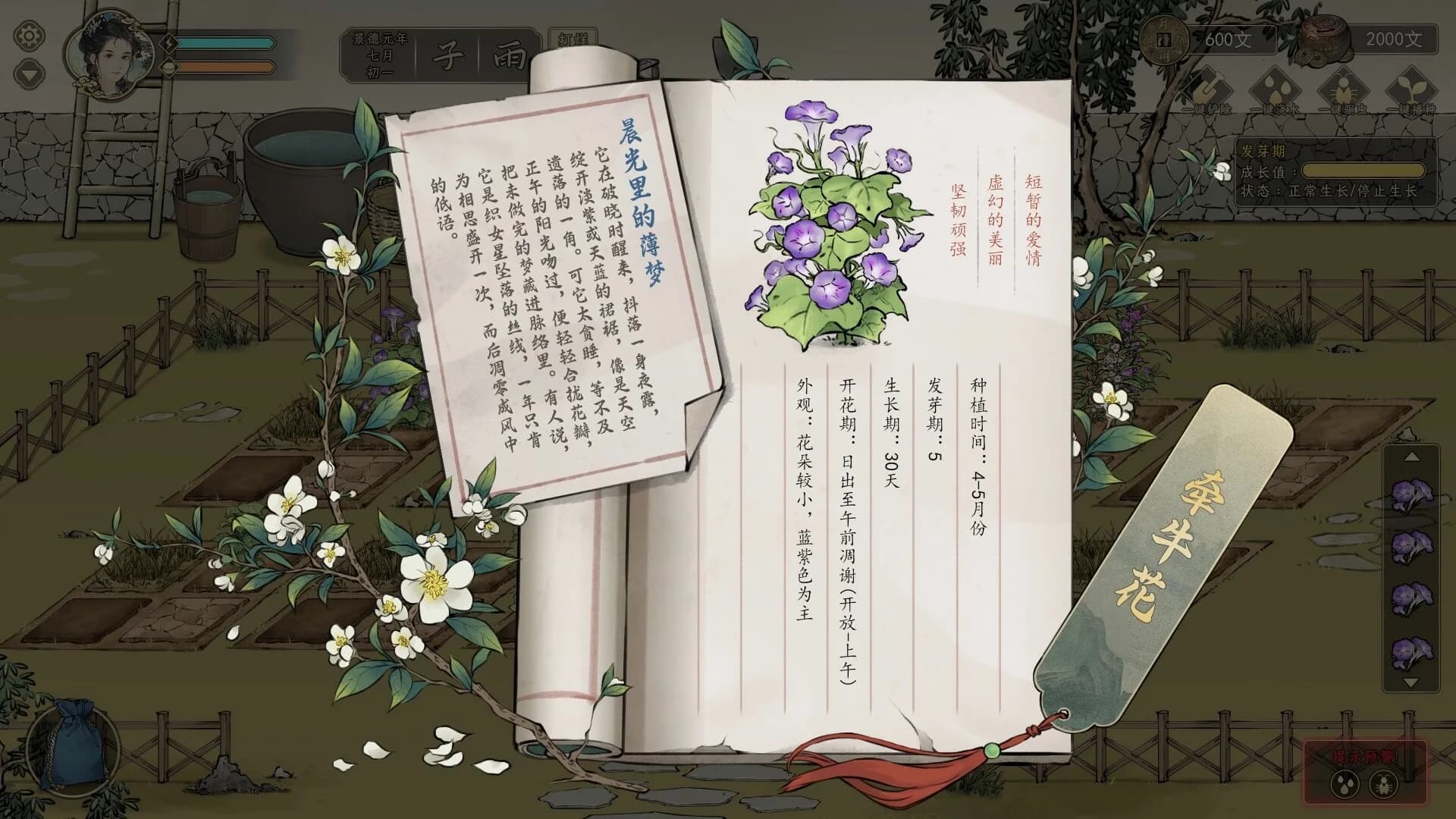 颂声·市井小神仙 görsel 9