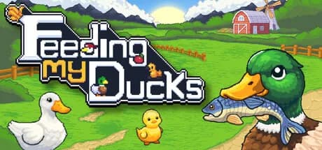 Feeding My Ducks