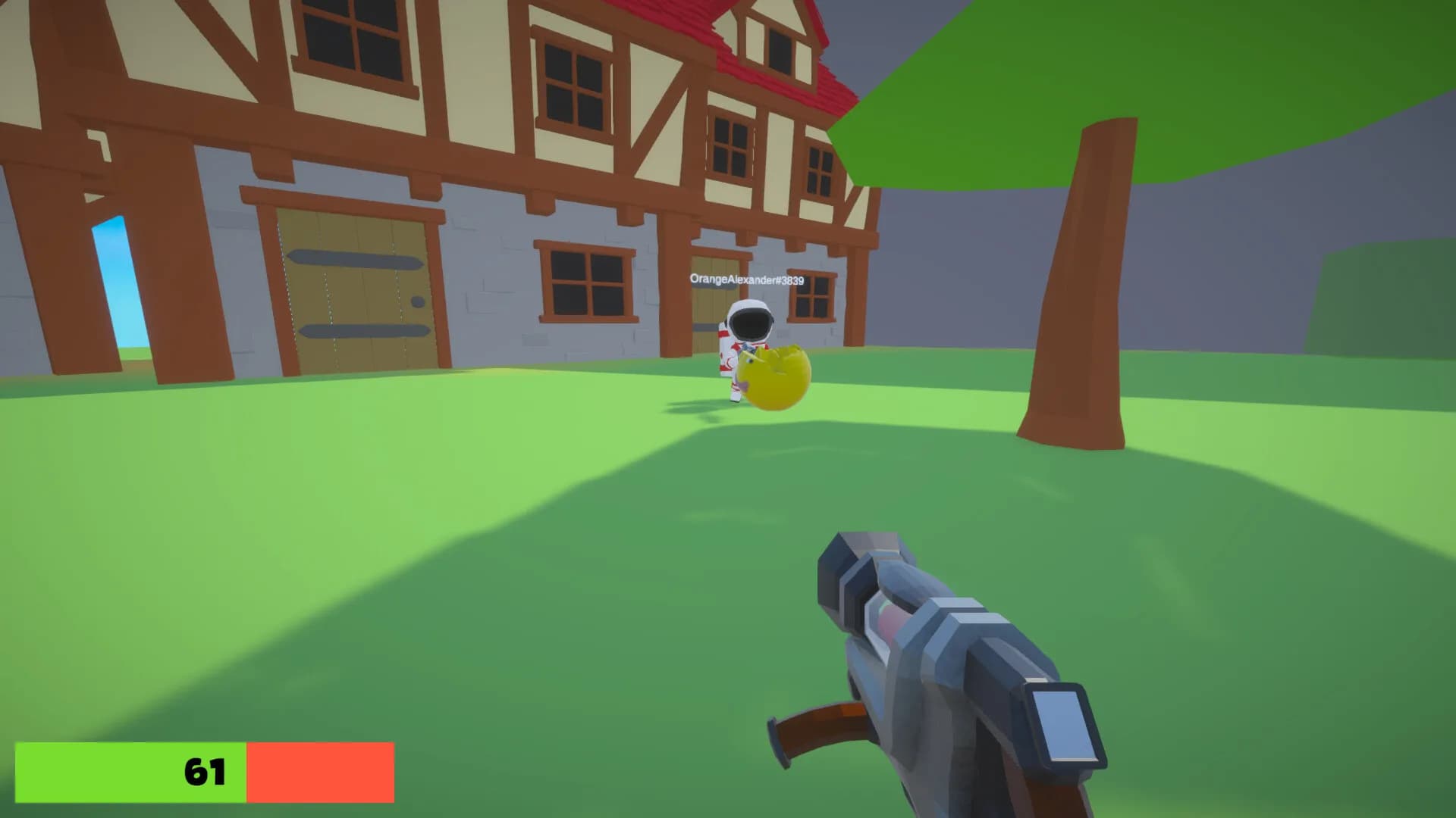Mingus görsel 4