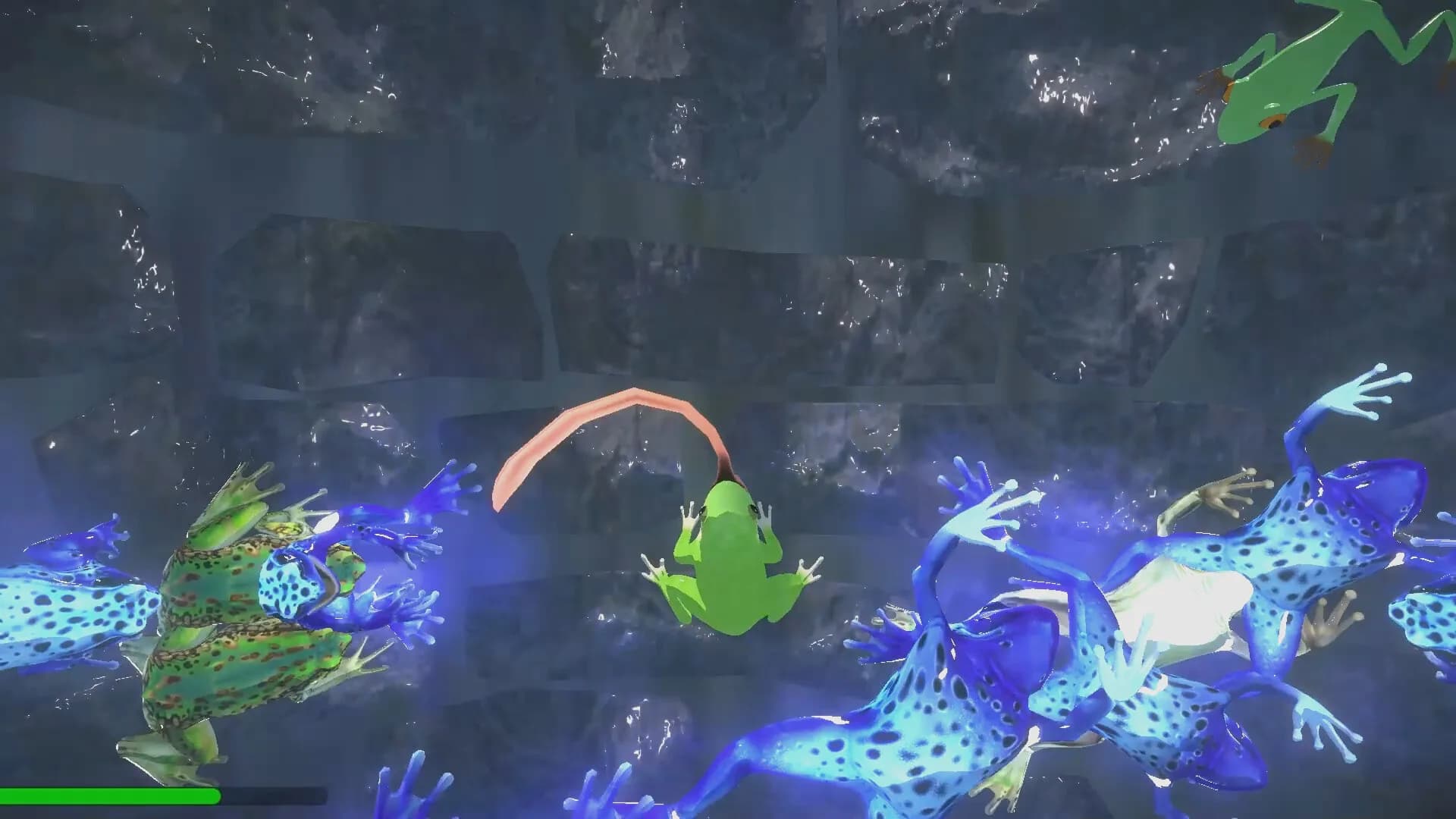 I'm a frog görsel 2