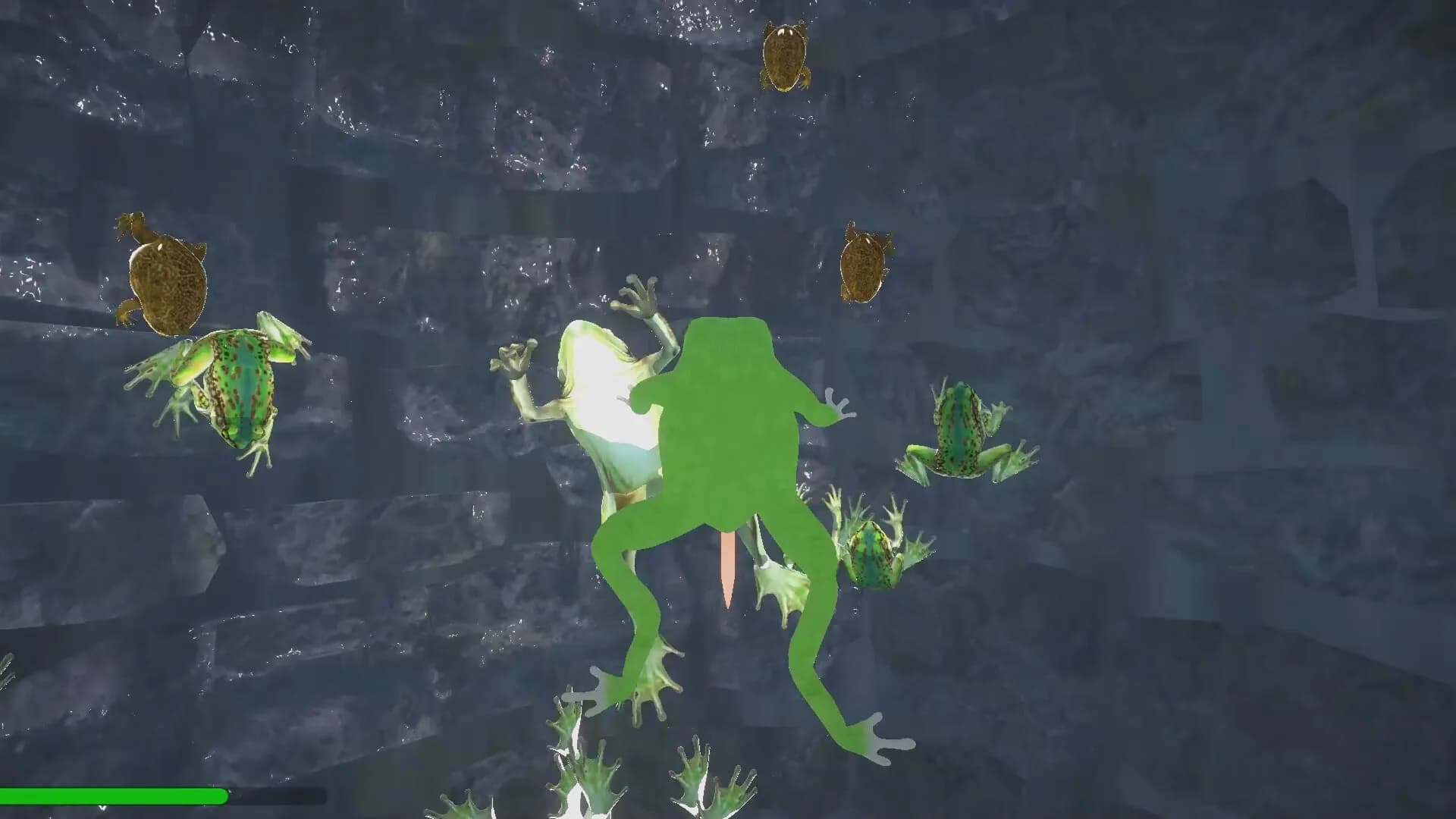 I'm a frog görsel 5
