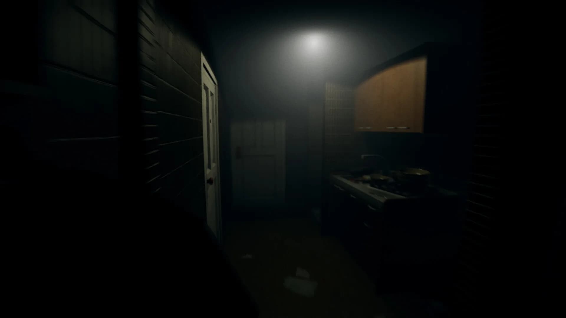 The Visit: Mizukawa görsel 2