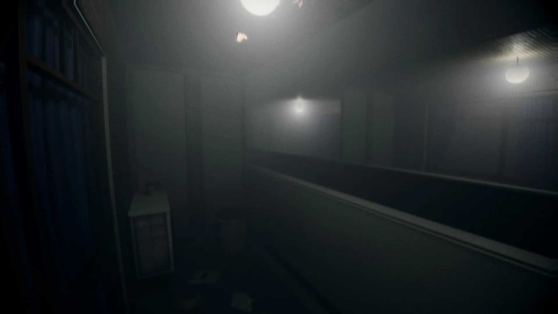 The Visit: Mizukawa görsel 4