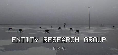 Entity Research Group görsel 1