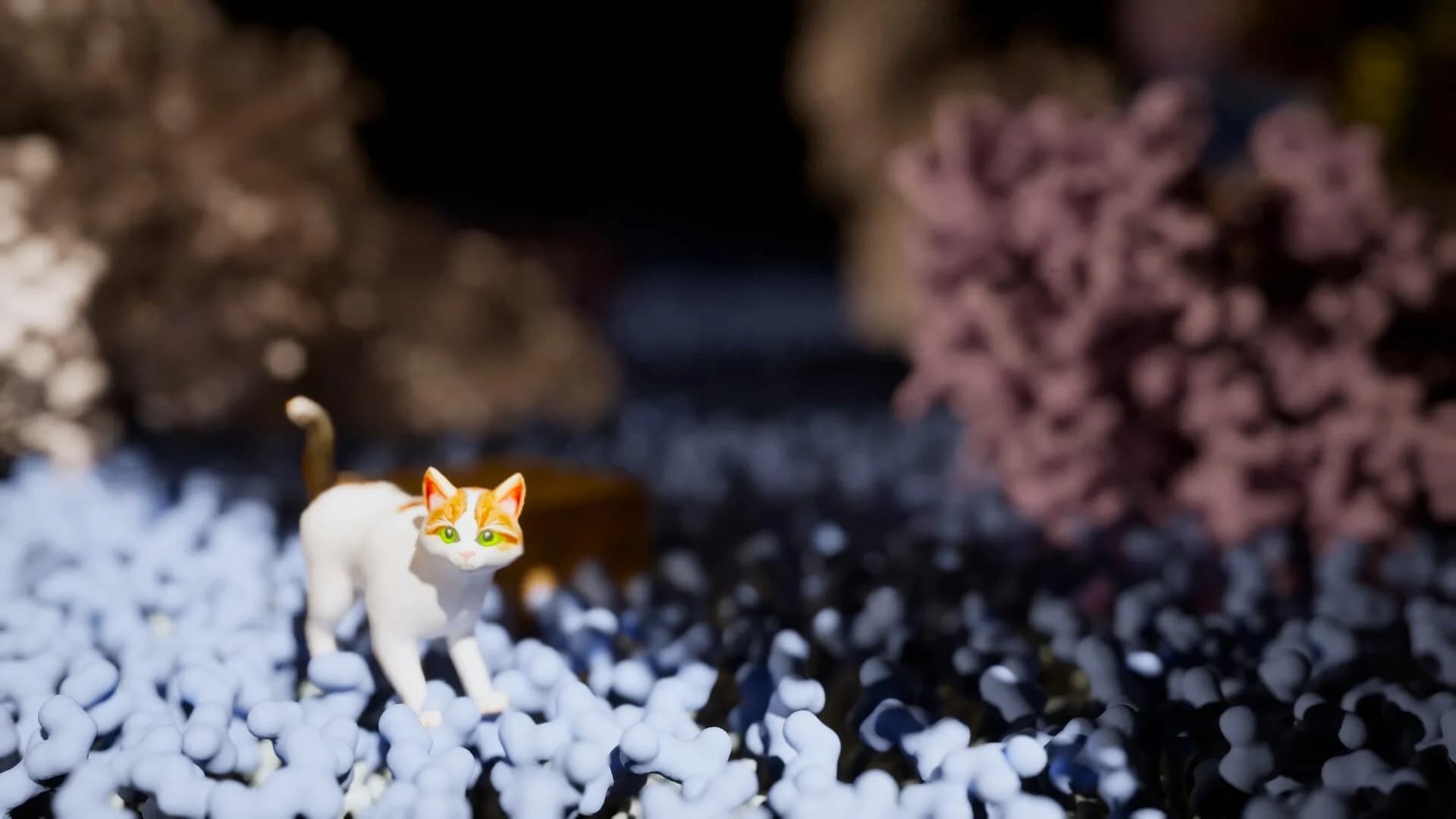 Meowtabolism - Examining Feline Behavior within Unicellular Algae görsel 2