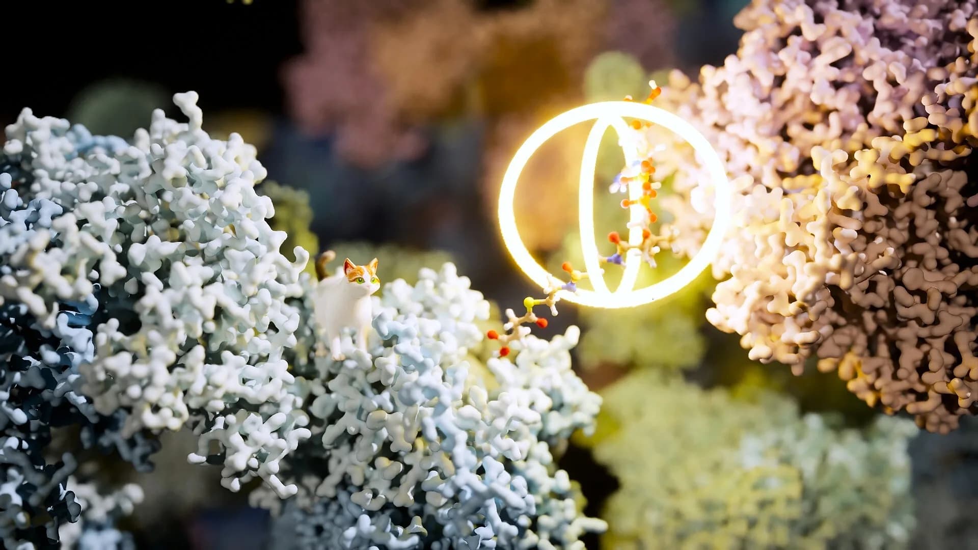 Meowtabolism - Examining Feline Behavior within Unicellular Algae görsel 5